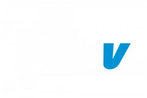 flivv logo